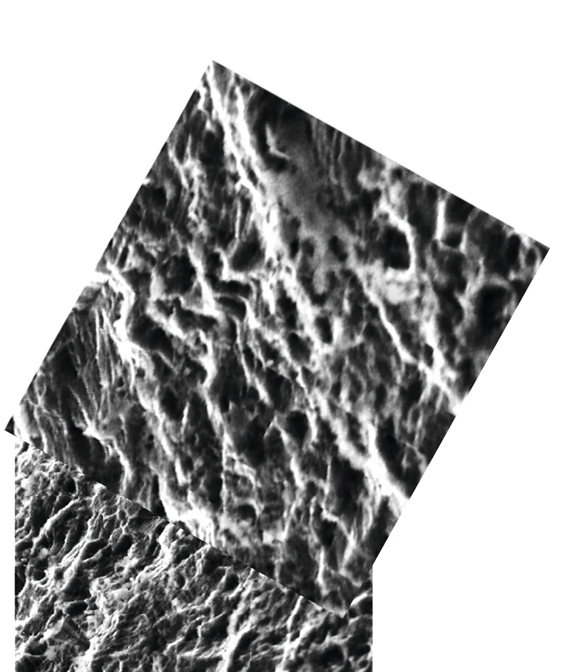 nasal-swap-microscopy-surface-aenium-engineering4.webp